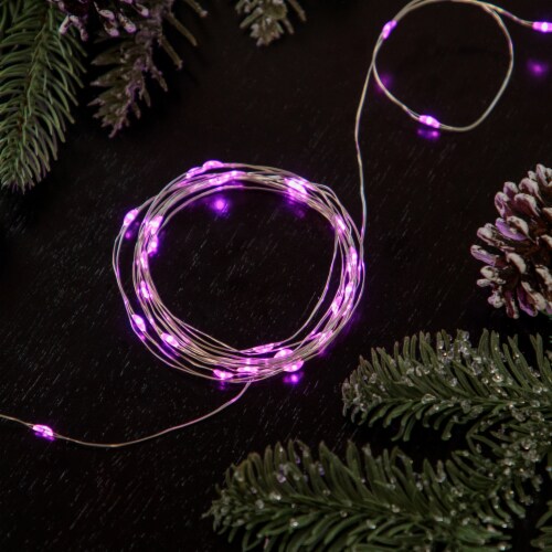Northlight 50-Count Pink LED Micro Fairy Christmas Lights - 16ft, Copper Wire Perspective: front