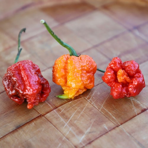 Pepper Carolina Reaper Seed / Untreated / 50 Seeds, 50 Count Kroger