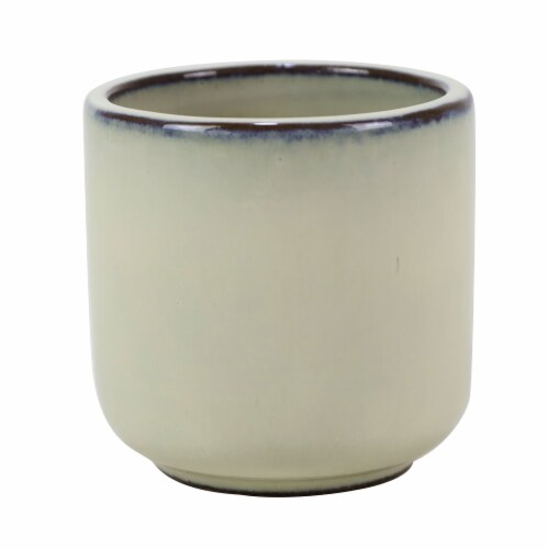 Deroma Spa Helike Succulent Planter - Cream 001 Perspective: front