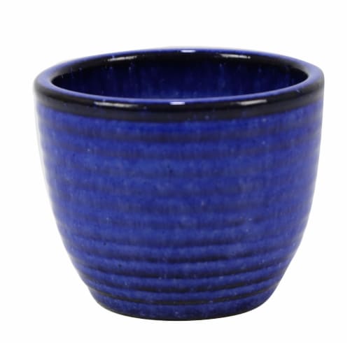 Deroma Spa Kalyke Succulent Planter - Blue 007 Perspective: front