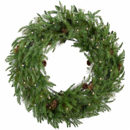 Fraser Hill Farm Artificial Wreath with Lights Perspective: front