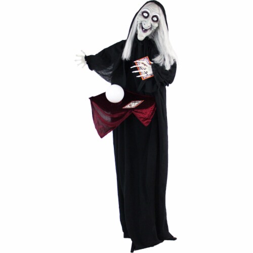 Haunted Hill Farm Animatronic Witch Halloween Decoration Perspective: front
