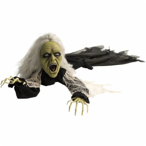 Haunted Hill Farm Animatronic Witch Halloween Decoration Perspective: front