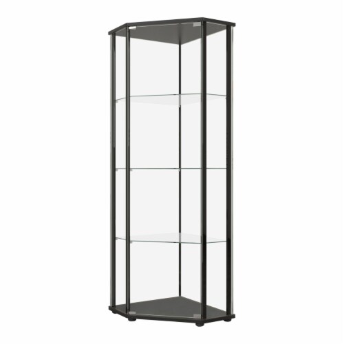 Metal Curio Cabinet with 1 Door and 3 Glass Shelves Black 1