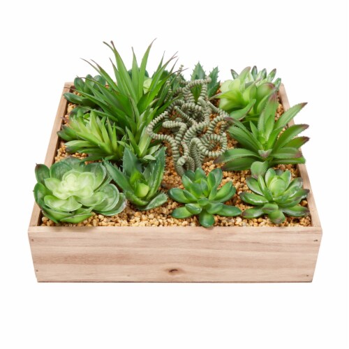 Faux Succulents  Assorted Lifelike Plastic Greenery Arrangement with 10 Inch Decorative Perspective: front