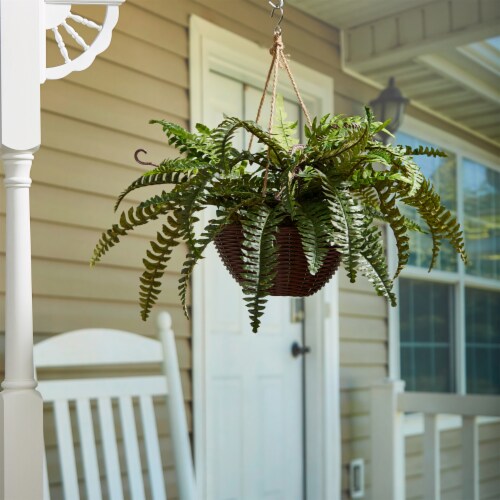 Faux Boston Fern Hanging Natural and Lifelike Artificial Arrangement and  Imitation Greenery, 1 unit - Kroger