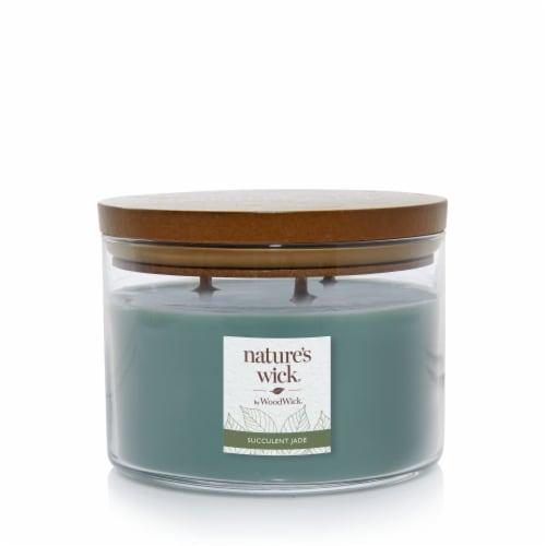 WoodWick® Nature's Wick 3-Wick Succulent Jade Scented Large Jar Candle Perspective: front