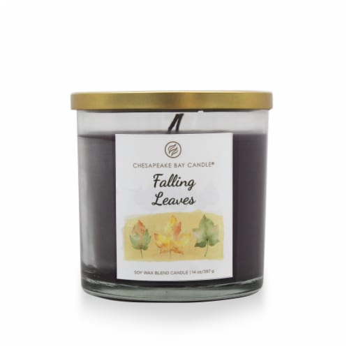 Chesapeake Bay Candle® Falling Leaves Soy Wax Blend Jar Candle Perspective: front