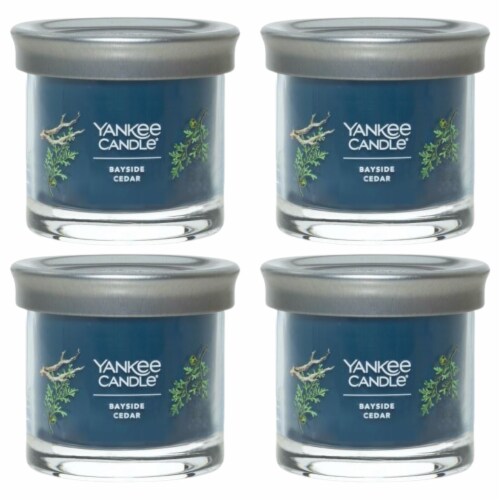 Yankee Candle Small Bayside Cedar Candle Perspective: front