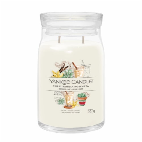 Yankee Candle Aloe & Agave Jar Candle Perspective: front