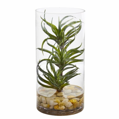 Nearly Natural 8145 Air Plant Artificial Succulent in Glass Vase Perspective: front