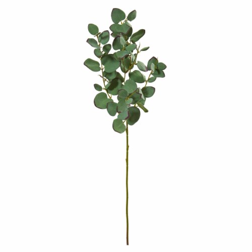 Nearly Natural 6234-S6 34 in. Eucalyptus Artificial Branch - Set of 6 Perspective: front