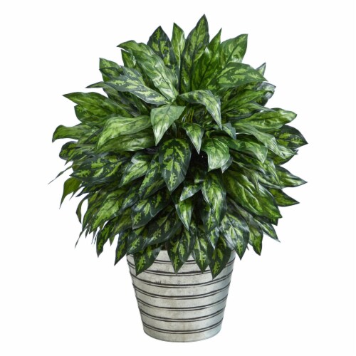34in Silver King Artificial Plant in Decorative Tin Bucket, 1 Kroger