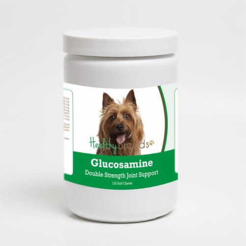 Healthy Breeds 192959013887 Australian Terrier Glucosamine DS Plus MSM - 120 Count Perspective: front