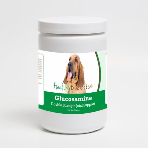 Healthy Breeds 192959014037 Bloodhound Glucosamine DS Plus MSM - 120 Count Perspective: front