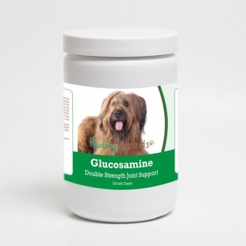 Healthy Breeds 192959014136 Briard Glucosamine DS Plus MSM - 120 Count Perspective: front