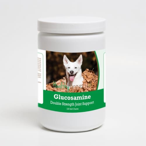 Healthy Breeds 192959014228 Canaan Dog Glucosamine DS Plus MSM - 120 Count Perspective: front