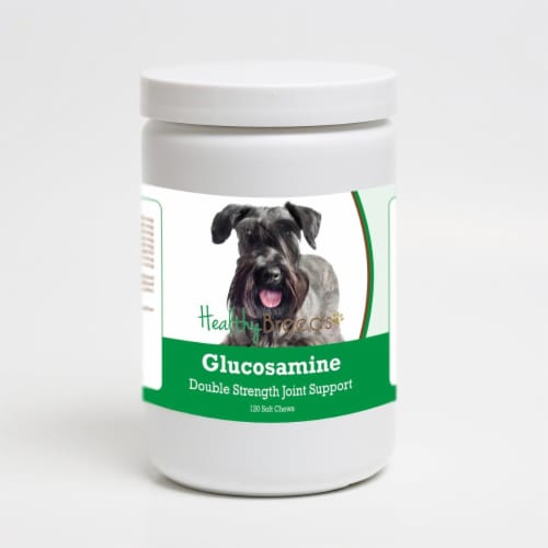 Healthy Breeds 192959014273 Cesky Terrier Glucosamine DS Plus MSM - 120 Count Perspective: front