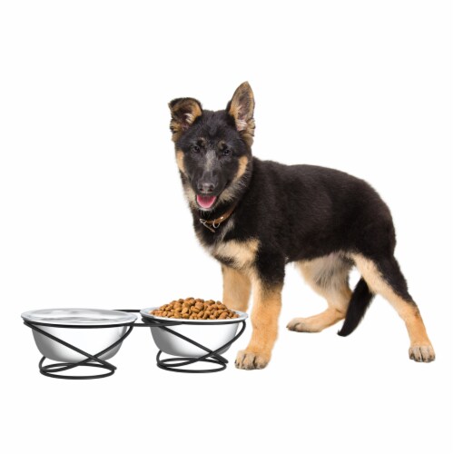 Stainless Steel Raised Food and Water Bowls with Decorative 3.5 Inch Tall  Stand for Dogs and, 1 unit - Kroger