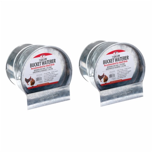 Little Giant 1-Gallon Steel Poultry Bucket Waterer w/ Built-In Handle (2 Pack) Perspective: front