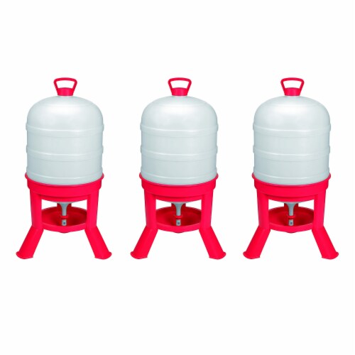 Little Giant DOMEWTR10 10 Gallon Tank Poultry Chicken Gravity Waterer (3 Pack) Perspective: front