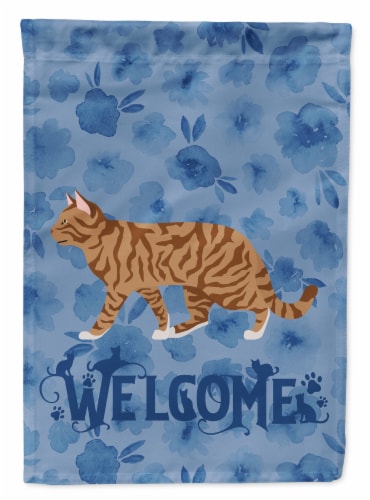Kroger Carolines Treasures Ck4997chf Toyger Cat Welcome Flag Canvas House Size House Size