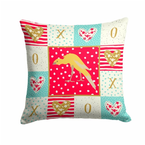 Carolines Treasures CK5500PW1414 Belgian Hunchback Canary Love Fabric Decorativ 14Hx14W Smith s Food and Drug
