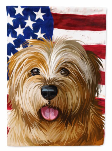 Norfolk Terrier Dog American Flag Flag Canvas House Size House Size Fred Meyer