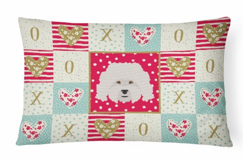 Carolines Treasures  CK5186PW1216 Bolognese Love Canvas Fabric Decorative Pillow Perspective: front