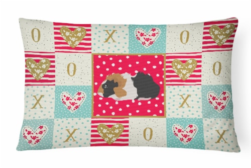 Abyssinian Guinea Pig Love Canvas Fabric Decorative Pillow, Red Perspective: front