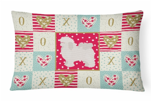 Carolines Treasures  CK5815PW1216 Bolognese Love Canvas Fabric Decorative Pillow Perspective: front
