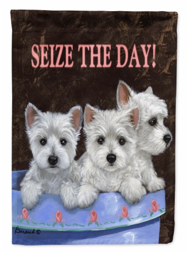 Westie store sale