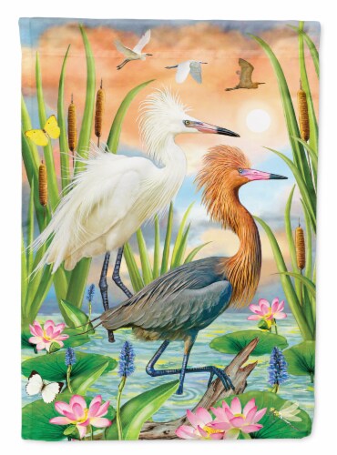 Carolines Treasures PRS4006CHF Reddish Heron Two Phases Flag Canvas House Size Perspective: front