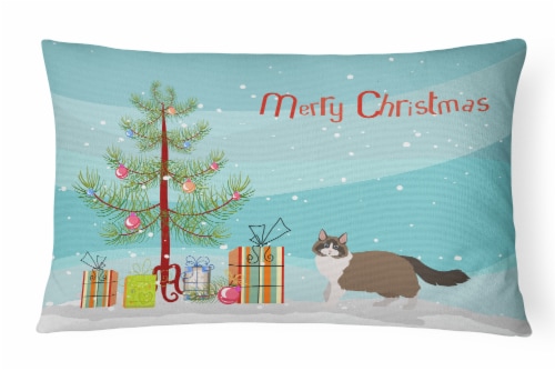 Ragdoll #1 Cat Merry Christmas Canvas Fabric Decorative Pillow Perspective: front