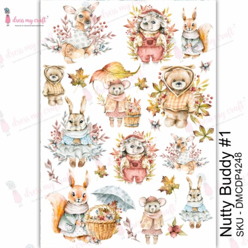 Dress My Craft Transfer Me Sheet A4-Nutty Buddy #1 Perspective: front