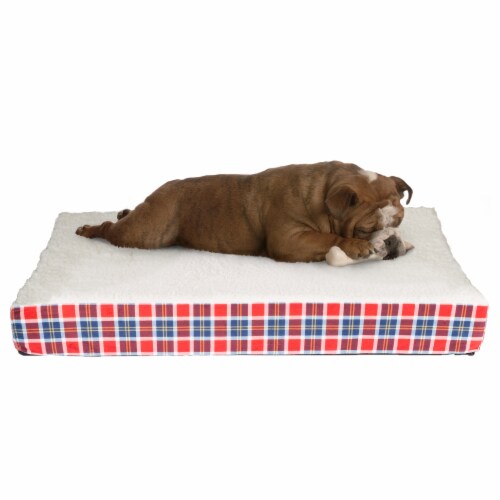 King bed with doggie insert clearance
