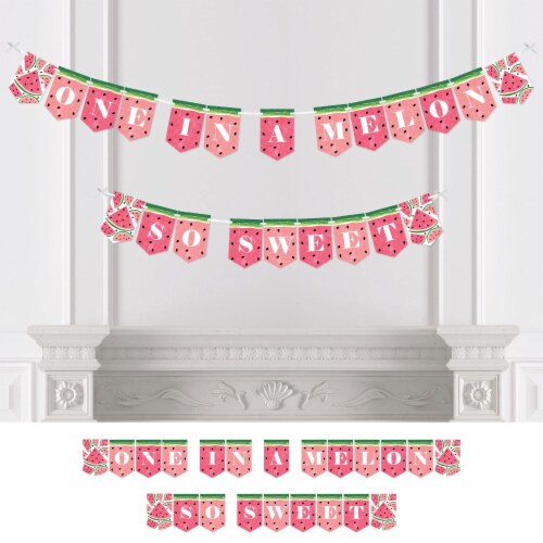 Big Dot of Happiness Sweet Watermelon - Bunting Banner Party Decor - One In A Melon So Sweet Perspective: front