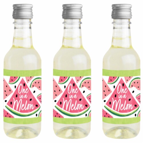 Big Dot of Happiness Sweet Watermelon Mini Wine Bottle Label Stickers Fruit Party Favor 16 Ct Perspective: front