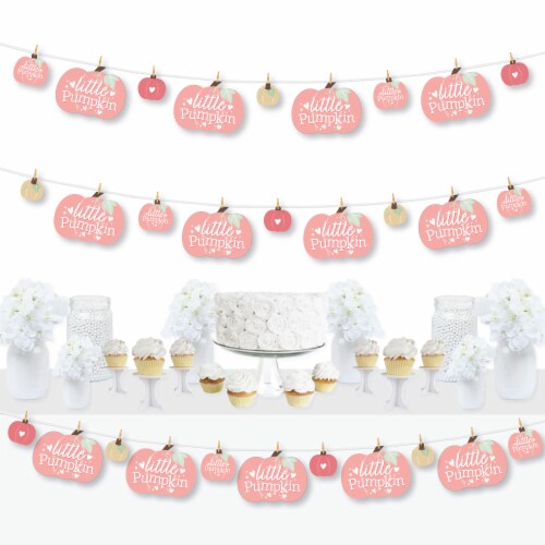 Big Dot of Happiness Girl Little Pumpkin Birthday Baby Shower Clothespin Garland Banner 44 Pc Perspective: front
