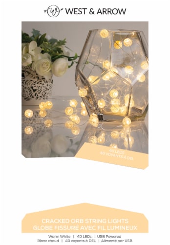 Cracked Orb Copper Wire LED String LIghts Perspective: front