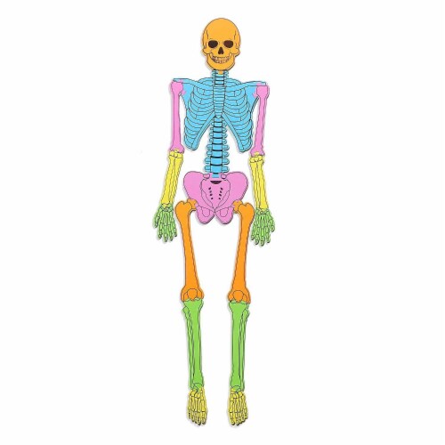 Blue Panda Foam Human Skeleton Puzzle Double Sided, 4 Foot Tall, 15 Pieces Perspective: front