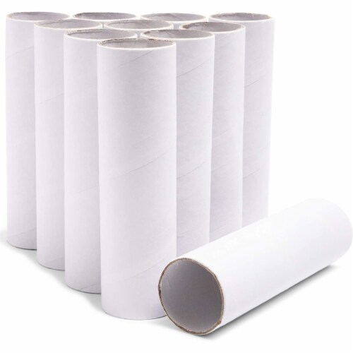 48 Pack Cardboard Tubes, Empty White Toilet Paper Rolls for Crafts