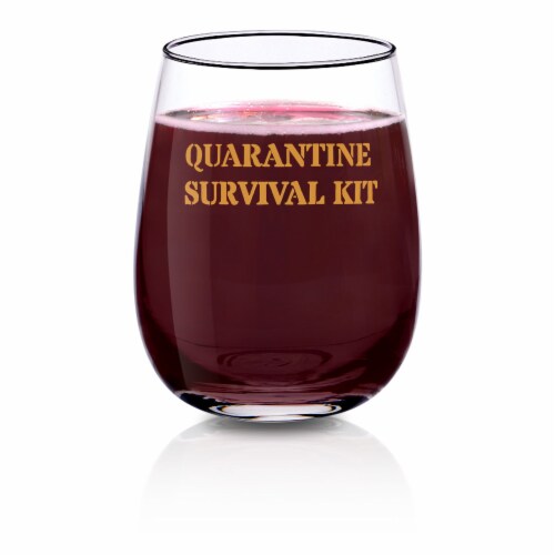 16 Ounce Stemless Funny Wine Glass, Quarantine Survival Kit