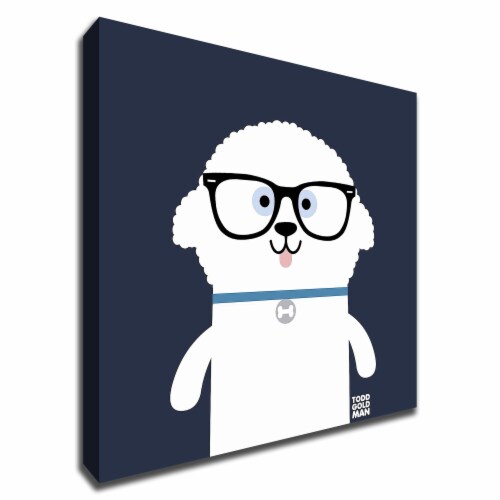 Bow Wow Bichon Frise By Todd Art 18 X18 , Print On Canvas, Ready To Hang Perspective: front