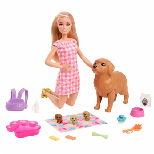 Celsius Vakantie Ik heb een Engelse les Mattel Barbie® Doll and Pets Playset, 15 pc - Fred Meyer