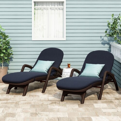 Riley Outdoor Faux Wicker Chaise Lounges with Cushion (Set of 2) dark