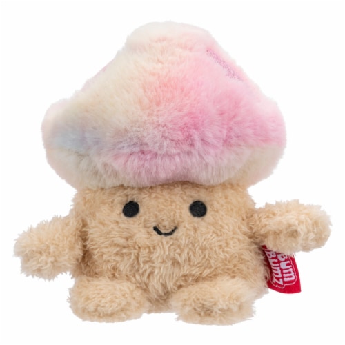 Squishmallows 4.5" Garden Bumz Rainbow Mushroom Plush Toy Perspective: front