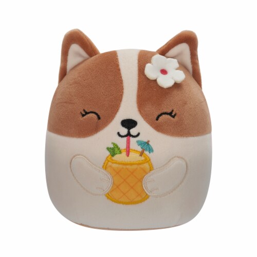 Squishmallows Corgi W Pineapple Drink Flower Plush Toy Brown White 8 in Fred Meyer