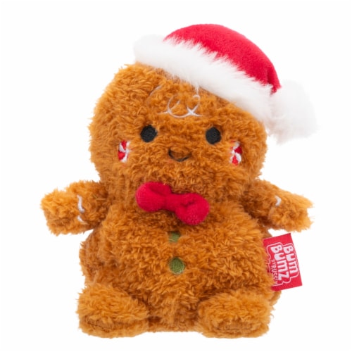 Bum bunz gingerbread gina 4 5 in pick n save