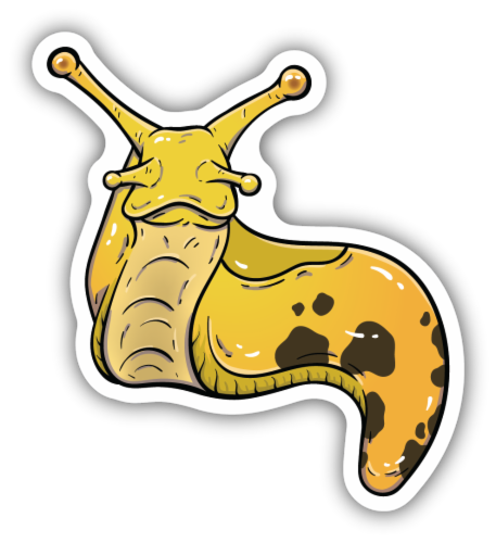 Stickers Northwest Banana Slug Sticker Perspective: front